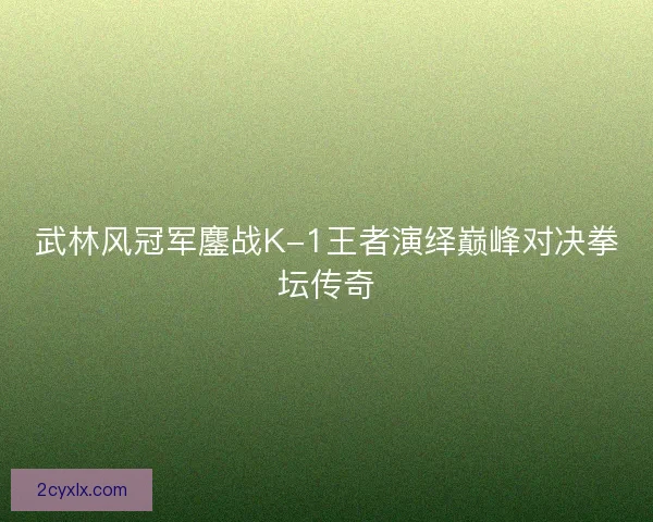 武林风冠军鏖战K-1王者演绎巅峰对决拳坛传奇