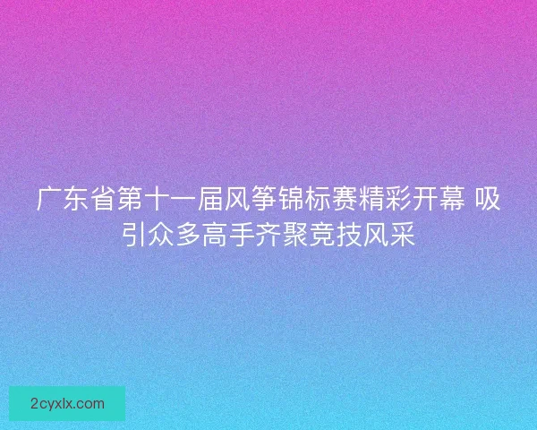 广东省第十一届风筝锦标赛精彩开幕 吸引众多高手齐聚竞技风采